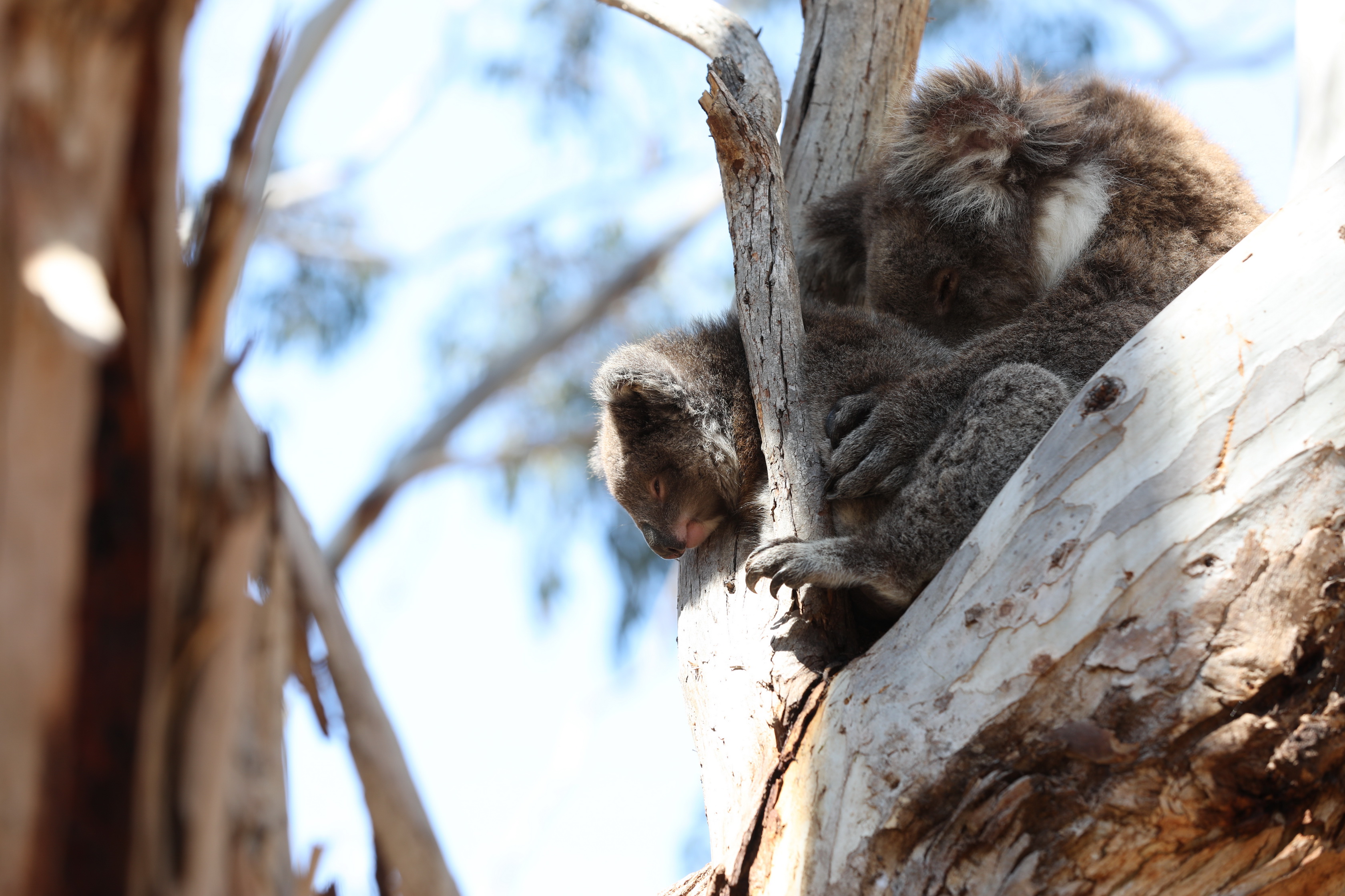 2019 10 01 11 40 57 Canon EOS 5D Mark IV 0012